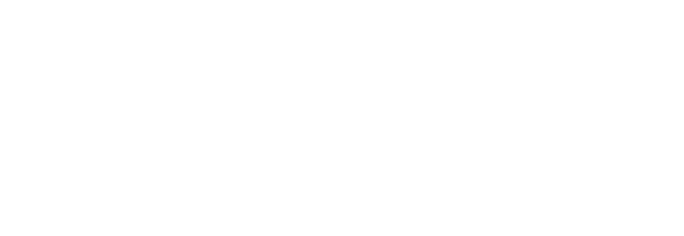 Newton company logo