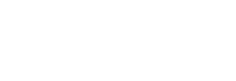 Newton company logo