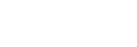 Newton company logo