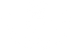 Firefly company logo
